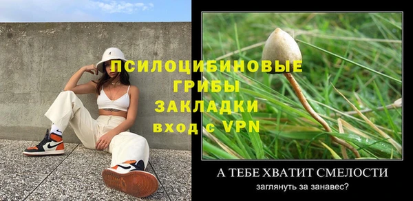 PSILOCYBIN Алексин